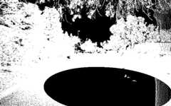 dx11-fixedcoloropaque