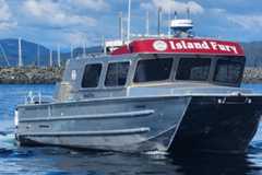 Island Fury rebranded 1 Island Fury rebranded 1