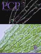 Plant and Cell Physiology
