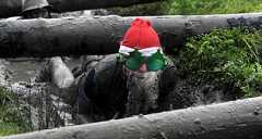 Ëó÷øèå ôîòî íåäåëè