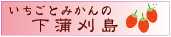 蒲刈カップ