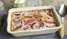 forced rhubarb