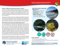 MPA fact sheet - click to enlarge in new tab