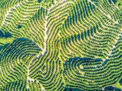 green field design, aerial, landscape, abstract