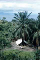 The encampment on Lake Tanganyika in Tanzania, where Jane Goodall began her study of the wild chimpanzees, accompanied by her mother. (Photo by Hugo van Lawick, National Geographic Society)