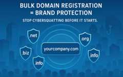 Bulk Domain Registration: Protecting Your Brand Across Multiple Extensions