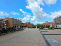 筑波大学筑波キャンパスは多くの建物が連なり、授業間の移動は自転車を使う学生も多い=2025年10月17日、茨城県つくば市、藤井怜撮影