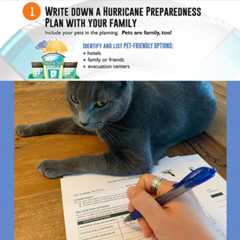 Baark! Hurricane Tips Baark! Hurricane Tips