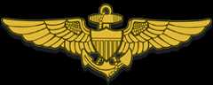 pilot wings