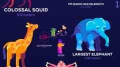 Universe in a Nutshell App: Screenshot #1