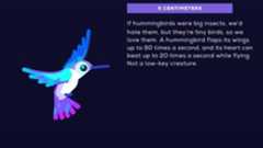 Universe in a Nutshell App: Screenshot #2