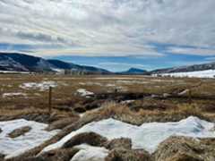 A few patches of snow are on brown and green grass in front of a fence and meadows surrounded by mountains.