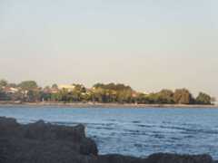 Meneou