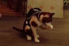 あなたのネコちゃんも『Stray』に出演!?依頼者の飼い猫のキャラスキンModを作成するModder現る 画像