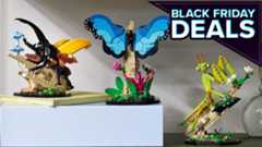 Lego Ideas: The Insect Collection Is 50% Off And Will Be Retired Soon