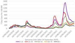 This line graph shows weekly cases per 100,000 people for five different age bands over time, from mid-September 2020. Each age band shows a similar trend with a peak in cases in January, with the 20 to 39 age band having the highest case rate, and the under 20 age band having the lowest case rate. Case rates reduced in all age groups from this peak and then started to increase again sharply from mid-May, reaching a peak at the beginning of July 2021. 7 day case rates per 100,000 population then decreased sharply followed by a sharp increase in cases in mid-August 2021. Case rates have decreased since the start of September for all age groups. Case rates have been fluctuating or increasing slightly across all age bands since the start of October, and have recently started to plateau for most ages, except for the 60-79 and 85+ trend which has decreased slightly over the last week.