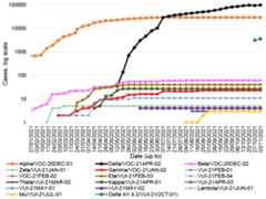 This line graph shows the number of cases of the variants of concern and variants of interest that have been detected by sequencing in Scotland each week, from 25 January to 3 November 2021.Beta, also known as VOC-20DEC-02, first detected in South Africa, was increasing steadily since late January from 3 cases to 60 cases on the 7 July, and then increased to 62 cases by 11 August. Beta has remained at 62 cases since then. Eta, or VUI-21FEB-03, first identified in Nigeria, rapidly increased since mid-March and reached 40 cases at the end of May. Eta has remained stable over the last 23 weeks. Gamma increased to 23 cases in the week to 25 August but has not yet increased further. There are also 27 cases of Kappa, or VUI-21APR-01, first identified in India, no change since mid-May. The first case of VUI-21Jul-01 emerged in the week to 4 August with three new case identified in the week to 1 September, however no change over the last 9 weeks. Delta, also known as VOC-21APR-02, first identified in India, has seen a rapid increase in the past 24 weeks to 98,054 cases. Delta+ variant emerged by the end of October with 3,593 cases having been identified in Scotland by 3 November.