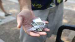 Telegrass founder sentenced to 8 years in jail for selling cannabis online Telegrass founder sentenced to 8 years in jail for selling cannabis online