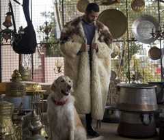 adrian pepe sheep textile