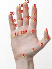 hand-output-keypoints – LearnOpenCV Sample image of result. Keypoints detected using the Hand Keypoint Detector are marked and numbered.