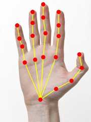 hand-output-skeleton – LearnOpenCV Resultant image with detected keypoint pairs joined to form the skeleton.