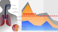 Abbildung - Luftschadstoffe und Grenzwerte Grafik eins menschlichen Oberkörpers mit schematischer Darstellung des Atemtraktes kombiniert mit einem Diagramm, welches den Verlauf eines Luftschadstoffes sowie Grenzwertes symbolisiert