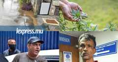 La semaine décryptée