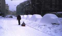 Image d'illustration