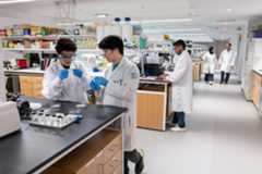 Students and faculty work in the Biomedical, Research, Innovation, and Imaging Center at New York Tech.