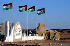 Saharawis flags blow in the wind on Febr