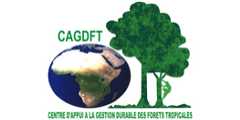CAGDFT CAGDFT