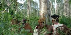 Pygmy_Women_in_the_Forest_Large_Cameroon_Nomedjo_Martijn_Aug_2008_5_ Pygmy_Women_in_the_Forest_Large_Cameroon_Nomedjo_Martijn_Aug_2008_5_