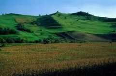 Romania. Coltivazioni in una zona collinare.De Agostini Picture Library / C. Sappa Romania. Coltivazioni in una zona collinare.De Agostini Picture Library / C. Sappa