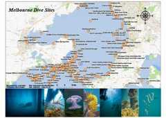 Melbourne Dive Sites Melbourne Dive Sites