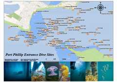 Port Phillip Entrance Dive Sites Port Phillip Entrance Dive Sites