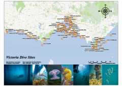 Victoria Dive Sites Victoria Dive Sites