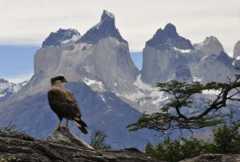 Torres del Paine