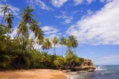 Caribbean coast bike ride