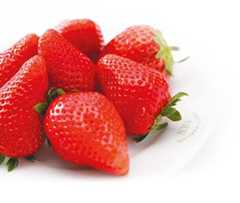 京橋千疋屋 いちご