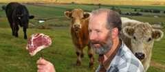 Prize-winning steak and surviving cattle