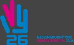 Medzinárodný rok dobrovoľníctva