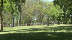 Imagen Portada Ecocampus