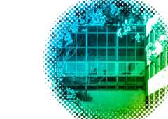 Personal Docente Investigador