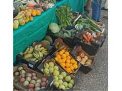 Alimentación Ecológica. Salud y Sostenibilidad 2