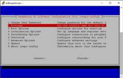 raspi-config Main Screen