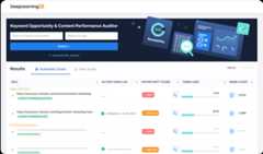Screenshot of DeepLearningFX software showing a keyword opportunity and content performance auditor interface with fields for URL and keyword input, and a results table listing URLs, action logs, opportunity scores, terms used, and word count.