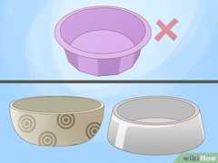 水飲み用のボウルを、サイズや材質の異なるものに交換してください。