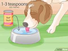 低ナトリウムのビーフまたはチキンストックを5mL加え、愛犬の水分摂取を促しましょう。