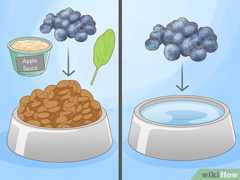 フードにアップルソース、ほうれん草、冷凍ブルーベリーを加えてください。