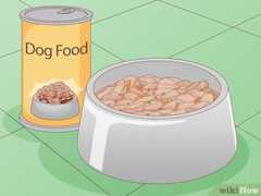 缶詰ドッグフードへの切り替え、またはドライフードに混ぜる方法があります。